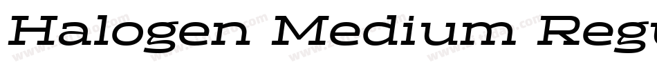 Halogen Medium Regu字体转换